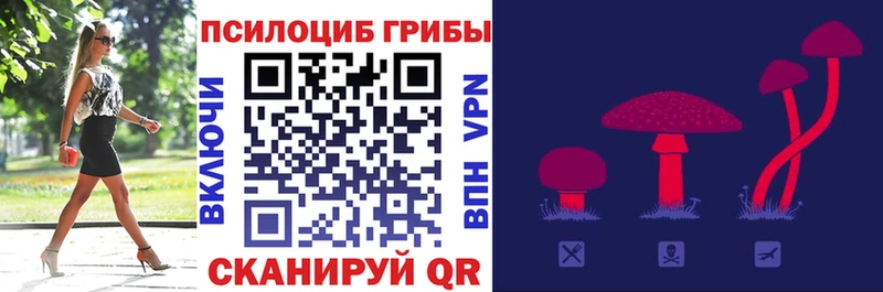 Псилоцибиновые грибы ЛСД  мега ССЫЛКА  Николаевск 